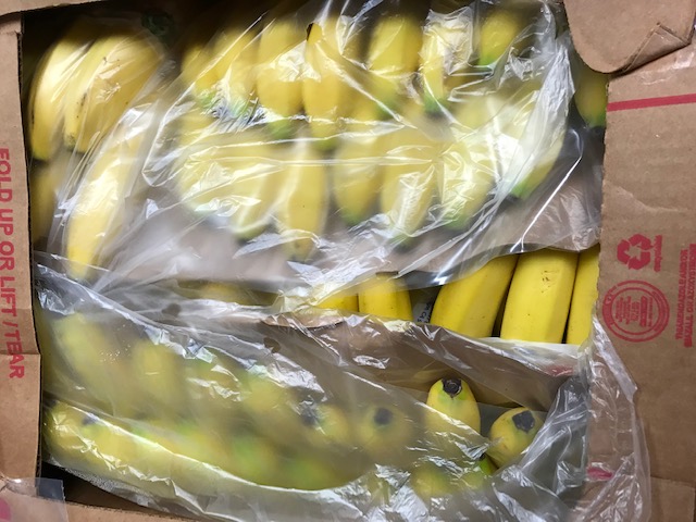 Volunteers at Table of Hope Food Pantry